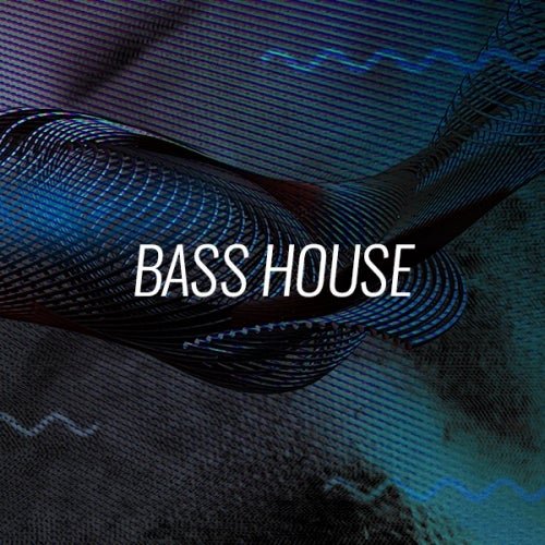 Fidget House, Bass House