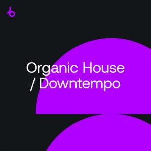 Organic House, Downtempo